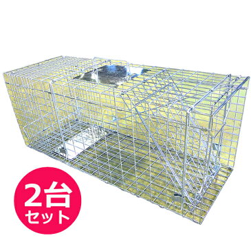 捕獲器Lサイズ　踏板式　箱罠　アニマルトラップ　2台セット　折り畳み式　イタチ　猫