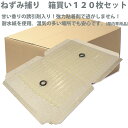 ネズミ捕り粘着シート 耐水紙使用 あま〜い香りの誘引剤入り 箱売り 120枚セット ねずみとり