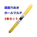 【法人様配送限定・個人宅配送不可】【沖縄・離島配送不可】【時間指定不可】シンセイ 穴あきホールマルチ 0.02×95×200m 穴径60mm 5本セット 国産 ...