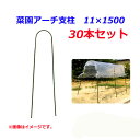 【法人様配送限定・個人宅配送不可】【沖縄・離島配送不可】【時間指定不可】 シンセイ 菜園アーチ支柱 11×1500 30本セット