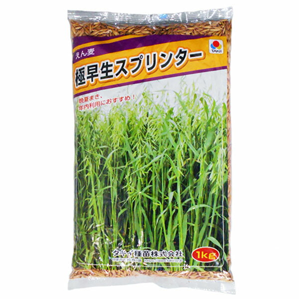 緑肥　エン麦　極早生スプリンター　種　1kg