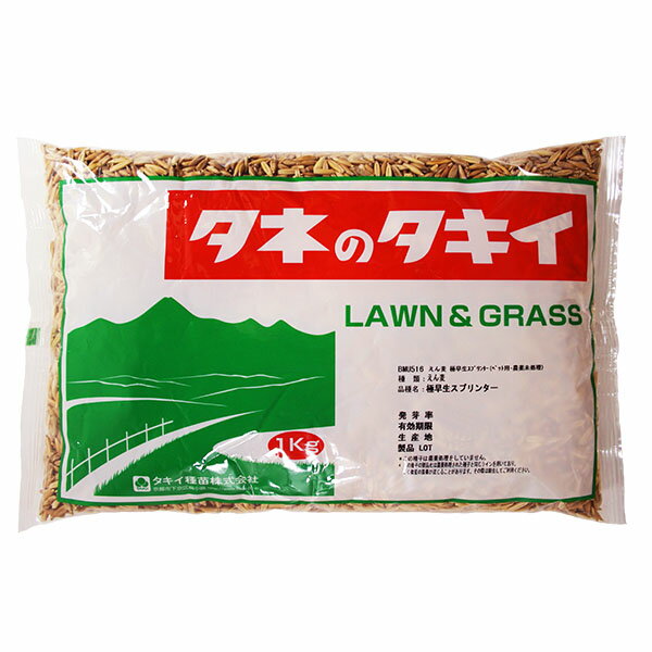 緑肥　エン麦　極早生スプリンター(ペット用・農薬未処理)　種　1kg　猫草・ウサギ用
