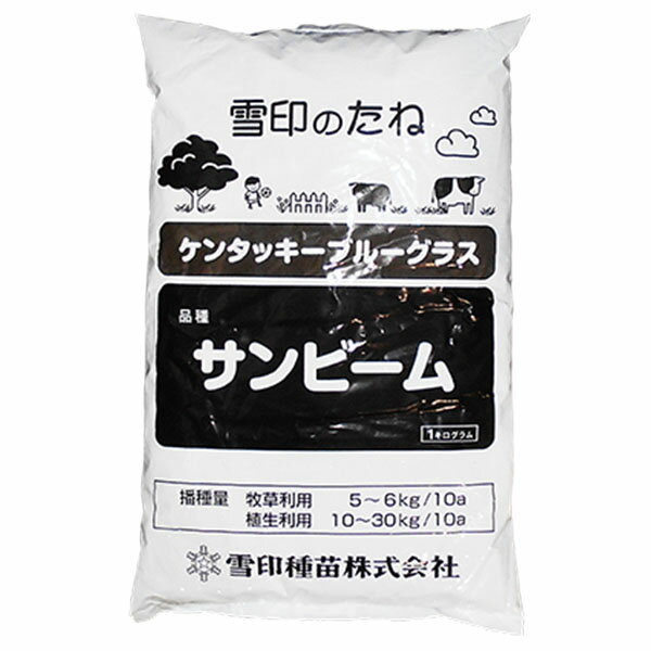 芝の種　ケンタッキーブルーグラス　サンビーム　緑化用　1kg　法面保護用 1