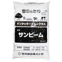 芝の種 ケンタッキーブルーグラス サンビーム 緑化用 1kg 法面保護用