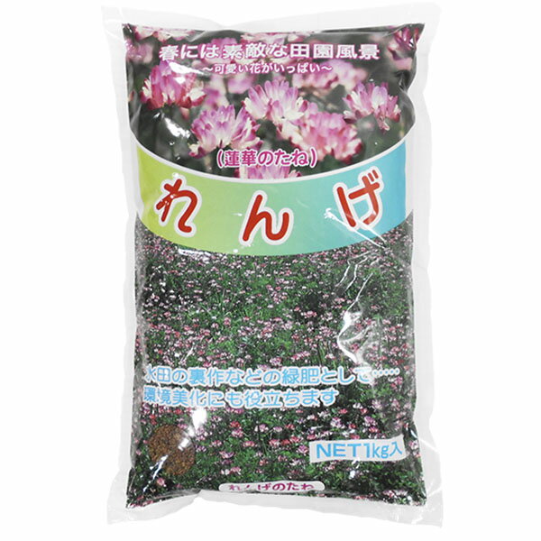 れんげの種 花の種 種子 レンゲ草 レンゲ種 花の種 1kg×20袋セット 景観用緑肥