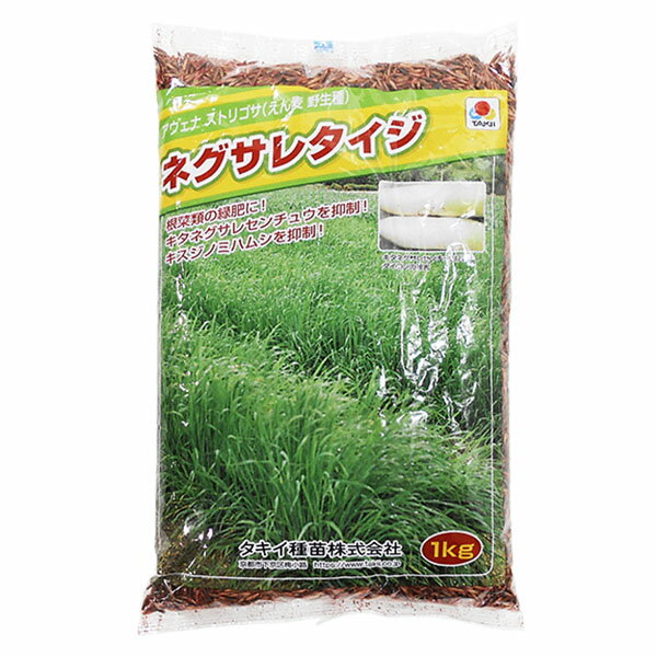 エン麦（緑肥用）　タキイ　ネグサレタイジ　種　1kg×10袋セット　初期生育旺盛!　害虫の密度抑制に!