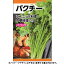 日本農産　野菜の種/種子　ハーブ　パクチー　種　（追跡可能メール便発送　全国一律370円）18130