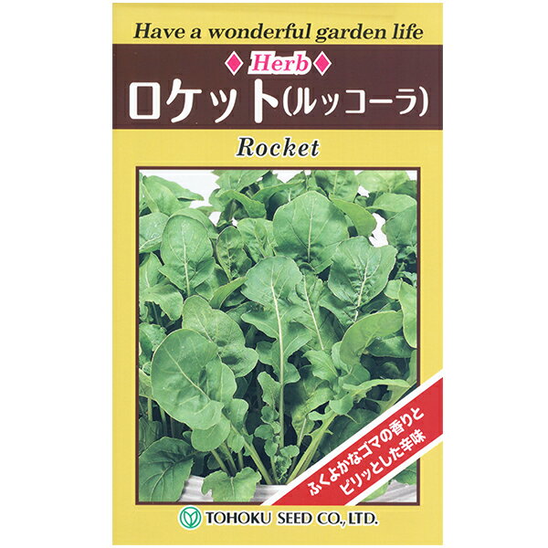 乐天商城 - トーホク　野菜の種/種子　ハーブ　ロケット（ルッコーラ）内容量1ml　種　（追跡可能メール便発送　全国一律370円）07665