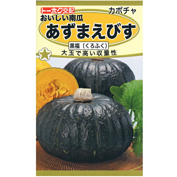 トーホク　野菜の種/種子　かぼちゃ　あずまえびす　内容量4ml　種　（追跡可能メール便発送　全国一律370円）03630　黒福　大玉で高い収量性
