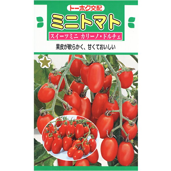 トーホク　野菜の種/種子　トマト　ミニトマト　スイーツミニカリーノ・ドルチェ　内容量0.3ml　種　（追跡可能メール便発送　全国一律370円）02740のサムネイル