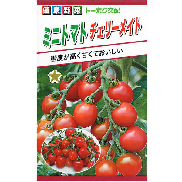 トーホク　野菜の種/種子　トマト　ミニトマト　チェリーメイト　種　（追跡可能メール便発送　全国一律370円）02831のサムネイル