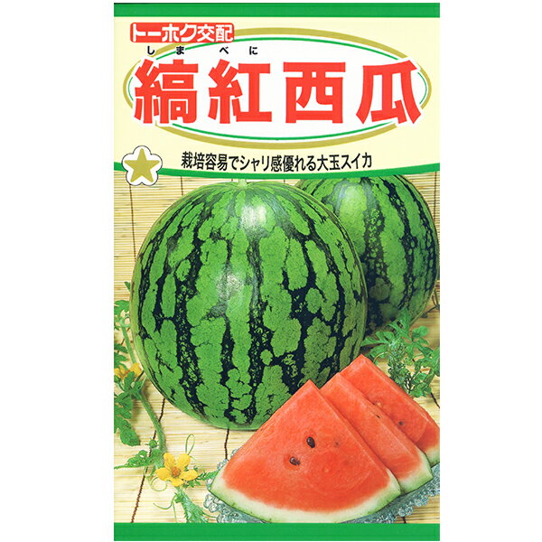 トーホク 野菜の種/種子 すいか 縞紅西瓜 種 レターパックライト発送 全国一律370円 04654