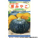 トーホク　野菜の種/種子　かぼちゃ　ほくほく南瓜　栗みやこ　種　（追跡可能メール便発送　全国一律370円）03615