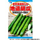 ウタネ　野菜の種/種子　きゅうり　地這胡瓜　種　（追跡可能メール便発送　全国一律370円）37617