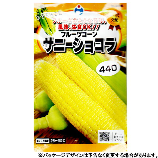 ウタネ　野菜の種/種子　とうもろこし　フルーツコーンサニーショコラ　種　（追跡可能メール便発送　全国一律370円）38106