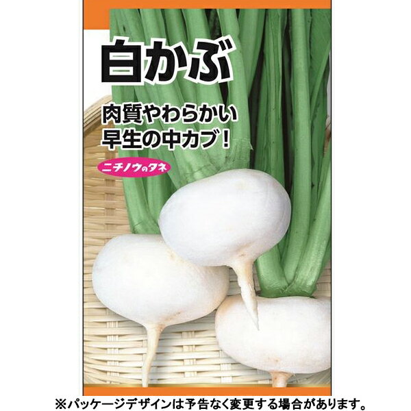 日本農産　野菜の種/種子　かぶ　白かぶ　種　（追跡可能メール便発送　全国一律370円）17350