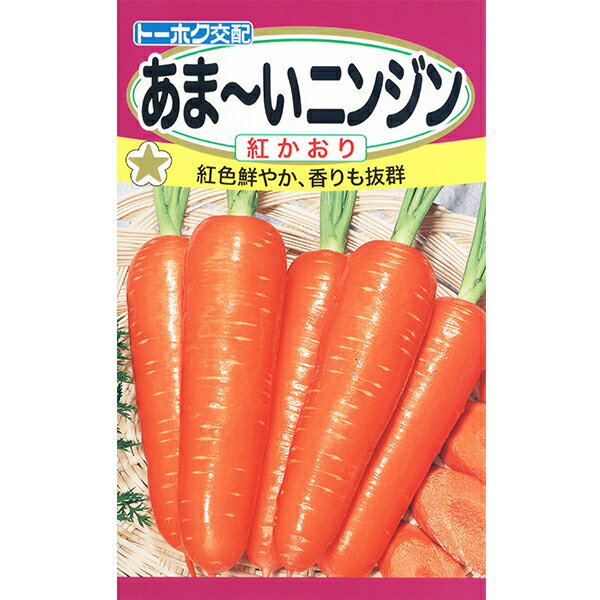 トーホク　野菜の種/種子　にんじん　あまーいニンジン　内容量4ml　種　（追跡可能メール便発送　全国一律370円）02566のサムネイル