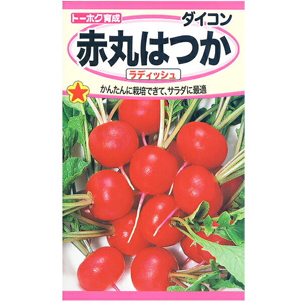 乐天商城 - トーホク　野菜の種/種子　ラディッシュ　大根　赤丸はつか　内容量8ml　種　（追跡可能メール便発送　全国一律370円）01151　かんたんに栽培できてサラダに最適