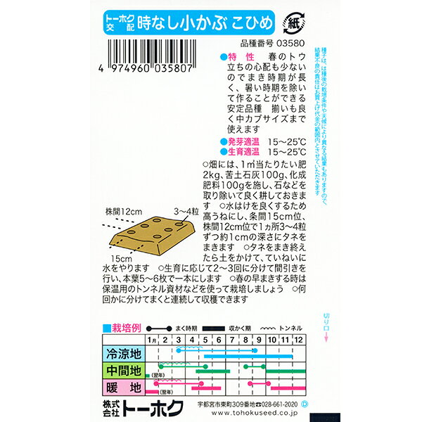 トーホク　野菜の種/種子　かぶ　時なし小かぶ　内容量4ml　種　（追跡可能メール...