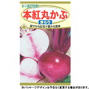 トーホク　野菜の種/種子　かぶ　本紅丸かぶ　種（追跡可能メール便発送　全国一律370円）06137