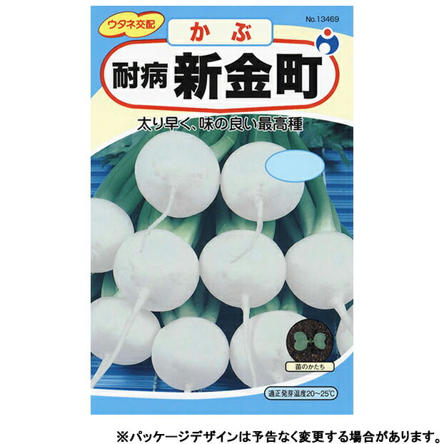 ウタネ　野菜の種/種子　かぶ　耐病新金町　種　（追跡可能メール便発送　全国一律370円）13469