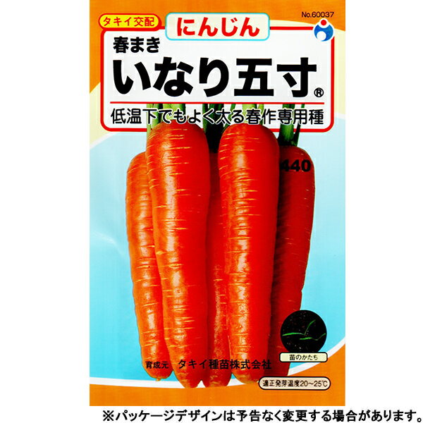 ウタネ 野菜の種/種子 にんじん いなり五寸 種 追跡可能メール便発送 全国一律370円 60037