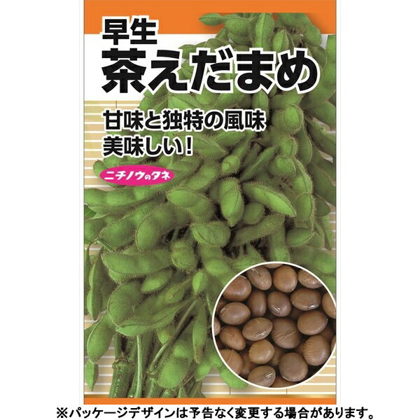 日本農産　野菜の種/