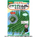 ウタネ 野菜の種/種子 いんげん サラダいんげん サクサク王子 種 （追跡可能メール便発送 全国一律370円）60048