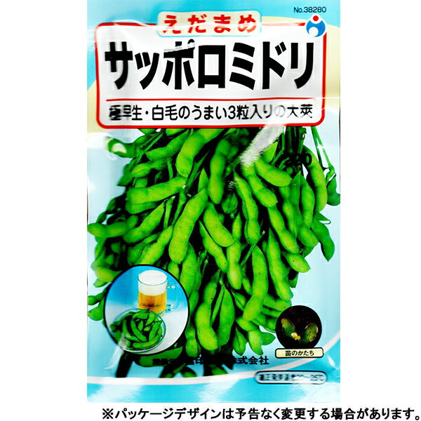 ウタネ 野菜の種/種子 枝豆 サッポロミドリ 種 追跡可能メール便発送 全国一律370円 38280