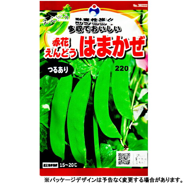 ウタネ　野菜の種/種子　えんどう　つるあり　赤花えんどうはまかぜ　種　（追跡可能メール便発送　全国一律370円）38222