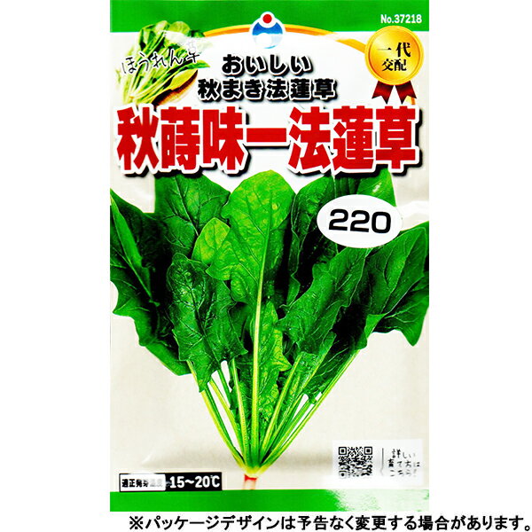 ウタネ　野菜の種/種子　ほうれん草　秋蒔味一法蓮草　内容量18ml　種 （追跡可能メール便発送　全国一律370円）37218のサムネイル