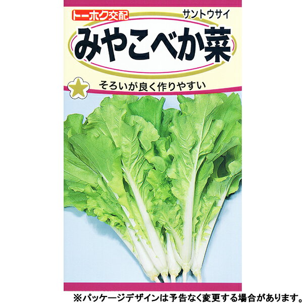 トーホク　野菜の種/種子　山東菜　みやこべか菜　種　（追跡可能メール便発送　全国一律370円）04995のサムネイル