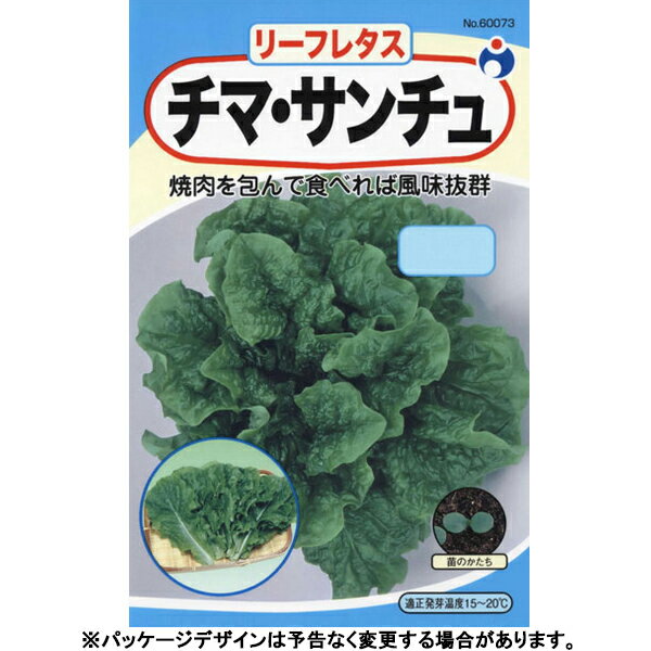 ウタネ　野菜の種/種子　レタス　チマ・サンチュ　種　（追跡可能メール便発送　全国一律370円）60073