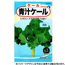 ウタネ 野菜の種/種子 ケール 青汁ケール 種 追跡可能メール便発送 全国一律370円 01027