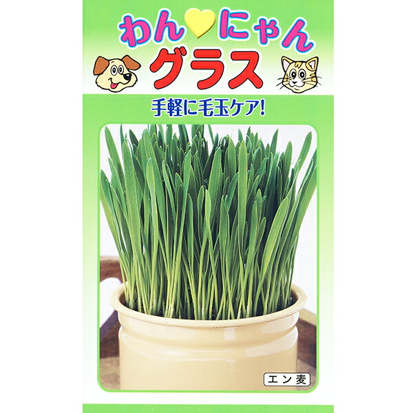 2/25(��)����!������Ψ1/2!����100��P�Хå�(��¤��ꡦ�ץ���ȥ꡼)�ȡ��ۥ�����ڤμ�/��ҡ����ˤ�󥰥饹��������60ml��������ײ�ǽ�᡼...