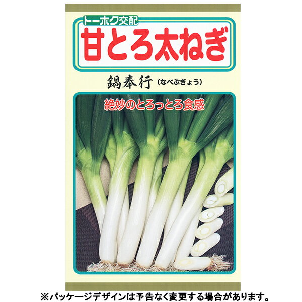 トーホク　野菜の種/種子　ネギ　甘とろ太ねぎ　鍋奉行　種　（追跡可能メール便発送　全国一律370円）02246