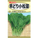 トーホク　野菜の種/種子　小松菜　早どり小松菜　種　（追跡可能メール便発送　全国一律370円）05352