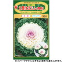 9/10(水)限定!当選確率1/2!最大100%Pバック(上限あり・要エントリー)トーホク 花の種/種子 牡丹 丸葉はぼたん(白桃) 内容量0.3ml 種 (追跡可能メール便発送 全国一律370円)00519