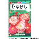 トーホク　花の種/種子　ポピー　ポピーひなげし　種　（追跡可能メール便発送　全国一律370円）00495 その1