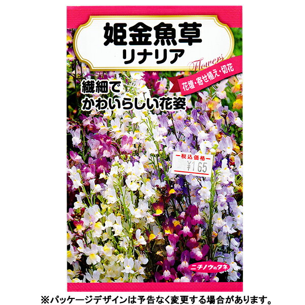 日本農産　花の種/種子　姫金魚草　種　（追跡可能メール便全国送料一律370円）41048