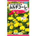 9/10(水)限定!当選確率1/2!最大100%Pバック(上限あり・要エントリー)トーホク 花の種/種子 クリサンセマム ムルチコーレ 内容量0.8ml 種 (追跡可能メール便発送 全国一律370円)00211