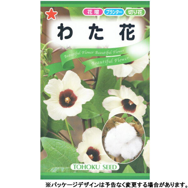 トーホク　花の種/種子　わた花　種　（追跡可能メール便発送　全国一律370円）09347