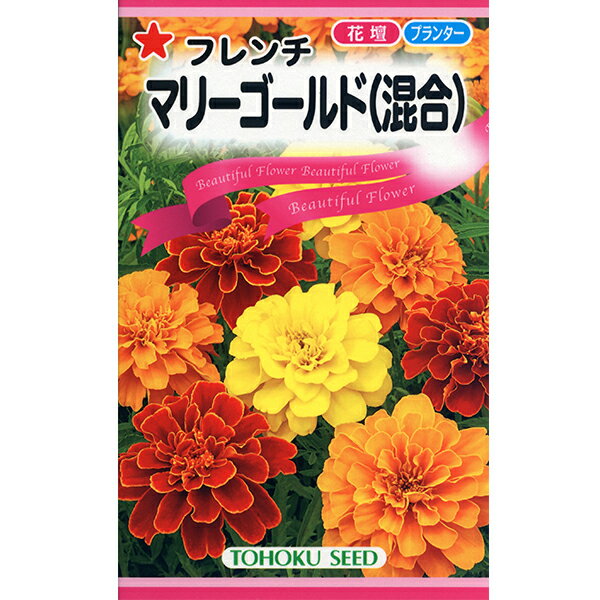 トーホク　花の種/種子　マリーゴールド　フレンチマリーゴールド（混合）内容量4ml　種　（追跡可能メール便発送　全国一律370円）04359　丈夫で育てやすい