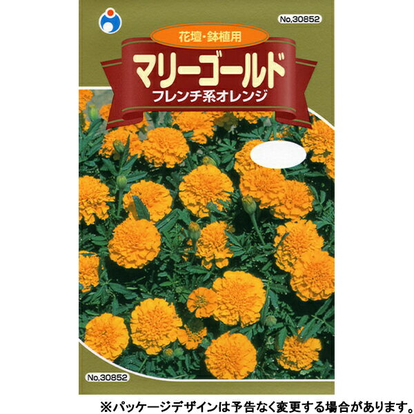 ウタネ　花の種/種子　マリーゴールド　フレンチ系オレンジ　種　（追跡可能メール便発送　全国一律370円）30852