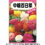 日本農産　花の種/種子　百日草　中輪百日草　種　（追跡可能メール便発送　全国一律370円）40028