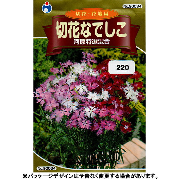 ウタネ　花の種/種子　なでしこ　切花なでしこ　河原特選混合　内容量0.5ml　種　（追跡可能メール便発送　全国一律370円）90034