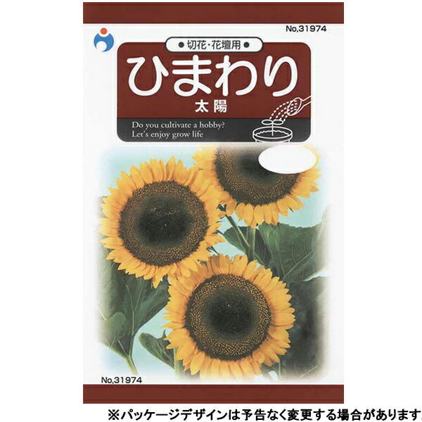 ウタネ　花の種/種子　ひまわり　太陽　種　（追跡可能メール便発送　全国一律370円）31974