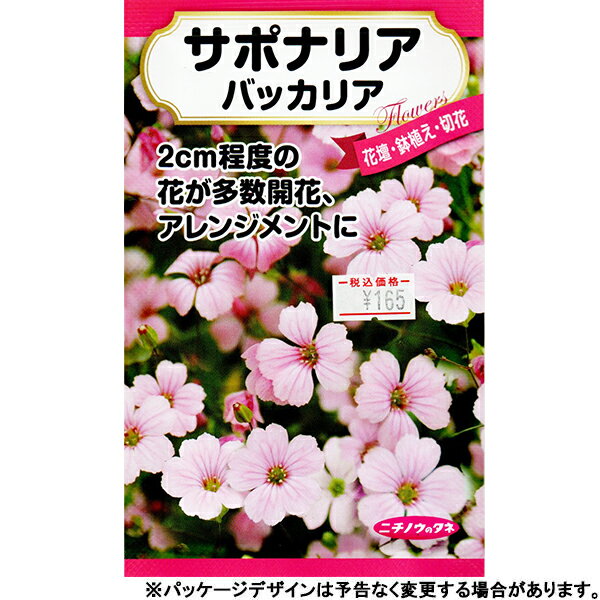 日本農産　花の種/種子　サポナリア　バッカリア　種　（追跡可能メール便発送　全国一律370円）41068