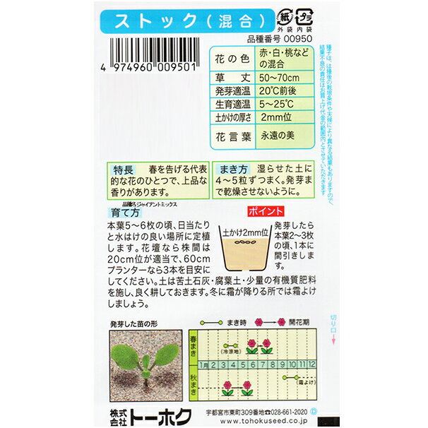 トーホク　花の種/種子　ストック（混合）内容量0.5ml　種 （追跡可能メール便発送...