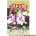 ウタネ　花の種/種子　ストック　マイムミックス　種　（追跡可能メール便発送　全国一律370円）90035
